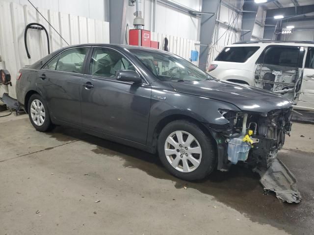 2008 Toyota Camry Hybrid