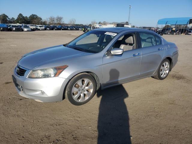 2008 Honda Accord EXL