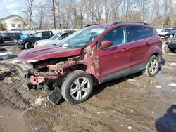 Salvage cars for sale at Chalfont, PA auction: 2014 Ford Escape SE