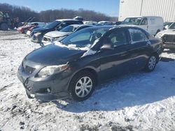 Salvage cars for sale from Copart Windsor, NJ: 2010 Toyota Corolla Base