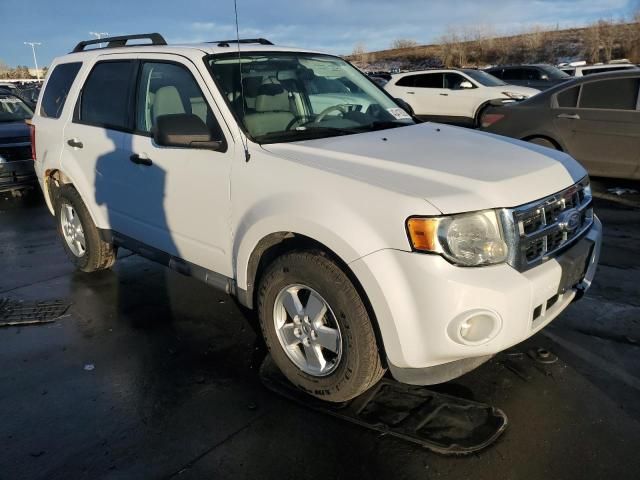 2011 Ford Escape XLT