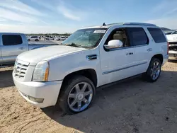 Cadillac salvage cars for sale: 2013 Cadillac Escalade Hybrid