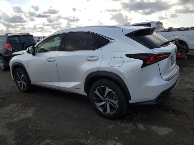 2020 Lexus NX 300H