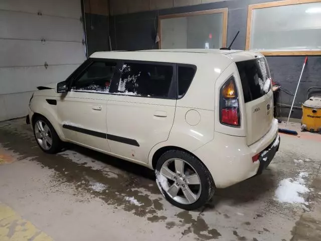 2010 KIA Soul +