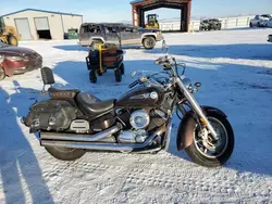 Salvage motorcycles for sale at Helena, MT auction: 2004 Yamaha XVS1100 A