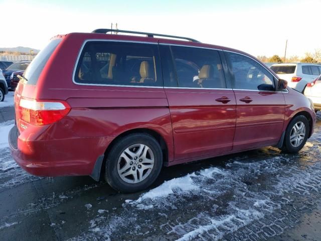 2005 Honda Odyssey EXL