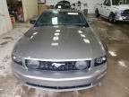 2005 Ford Mustang GT