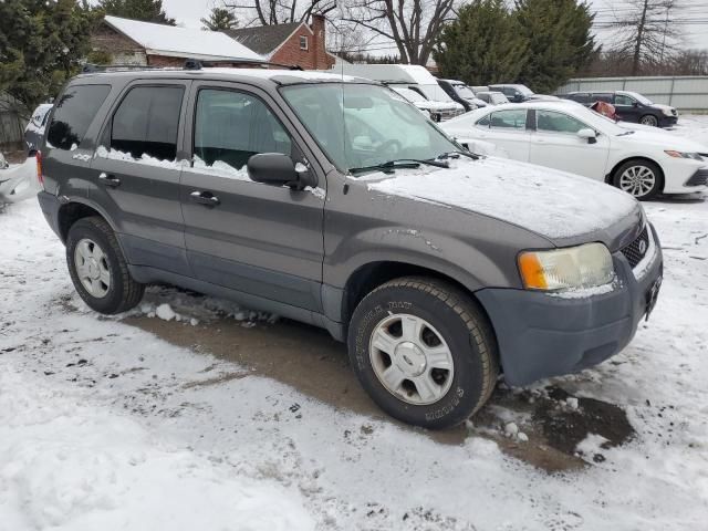 2003 Ford Escape XLT