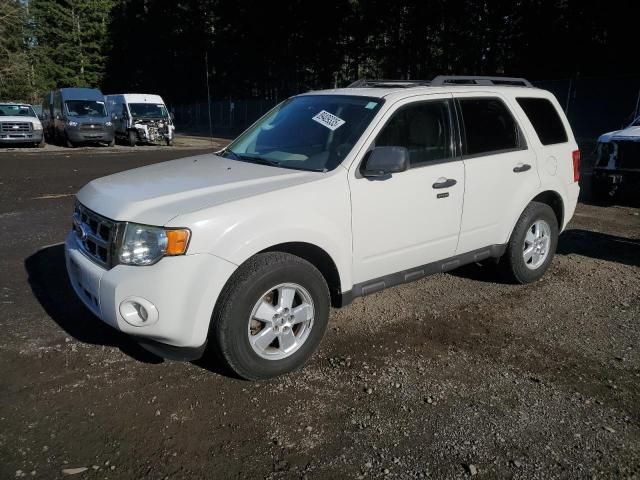 2010 Ford Escape XLT