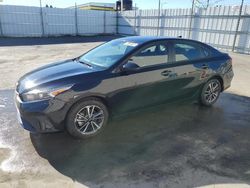 Rental Vehicles for sale at auction: 2023 KIA Forte LX