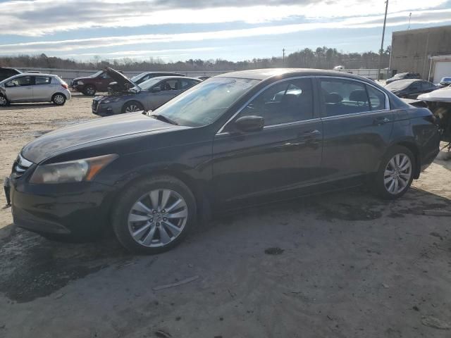 2011 Honda Accord EXL