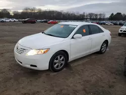 Toyota Camry Base salvage cars for sale: 2009 Toyota Camry Base