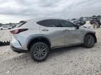 2022 Lexus NX 250