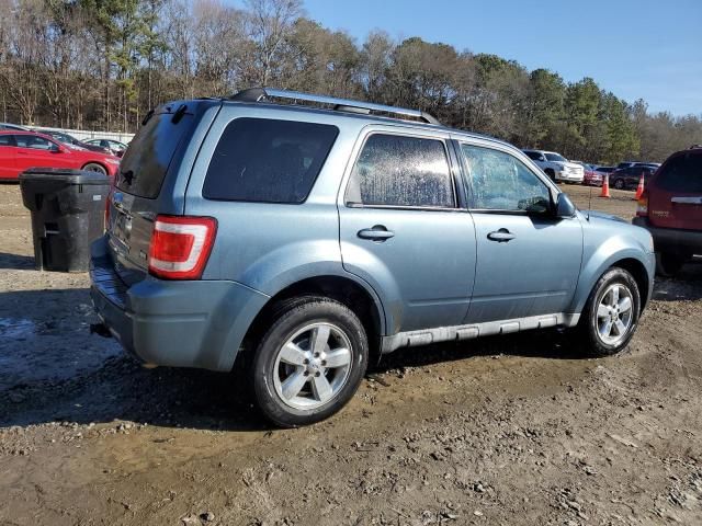 2010 Ford Escape Limited