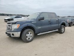 Salvage cars for sale at San Antonio, TX auction: 2014 Ford F150 Supercrew