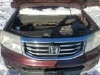 2015 Honda Pilot EXL