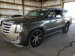 Cadillac Vehiculos salvage en venta: 2015 Cadillac Escalade ESV Premium