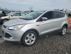 Ford salvage cars for sale: 2014 Ford Escape SE