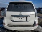 2019 Lexus GX 460