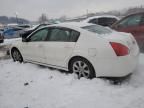 2008 Nissan Maxima SE