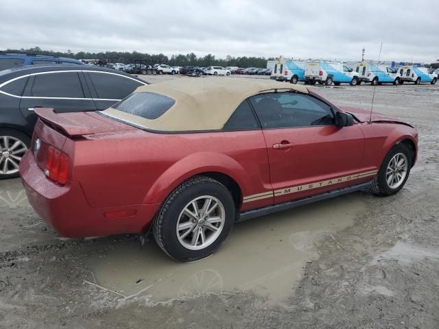 2005 Ford Mustang