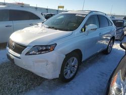 Salvage cars for sale at Cahokia Heights, IL auction: 2011 Lexus RX 450H