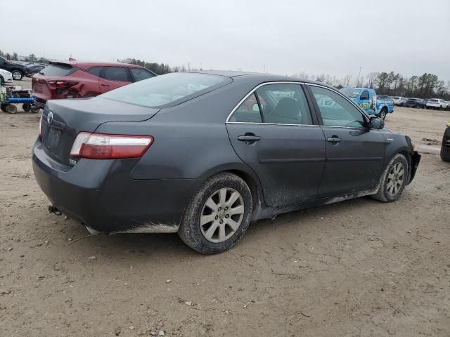 2008 Toyota Camry Hybrid