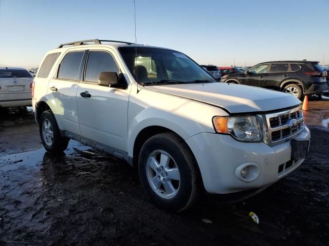 2012 Ford Escape XLT