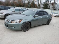 Honda salvage cars for sale: 2008 Honda Accord EXL