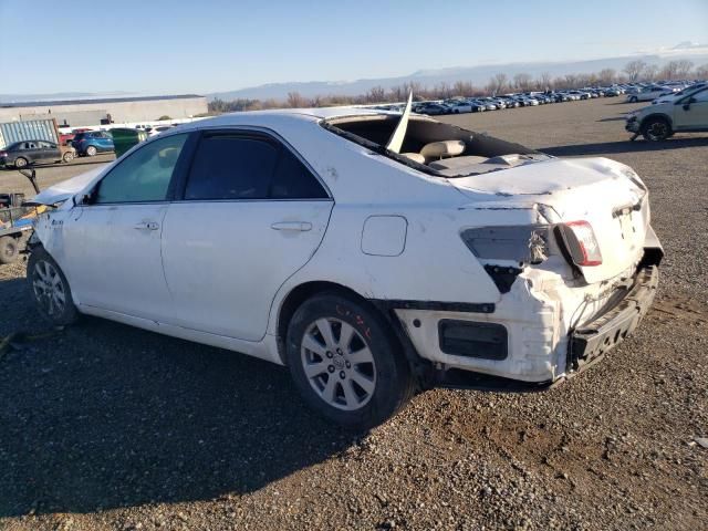 2008 Toyota Camry Hybrid