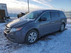 Honda Odyssey exl salvage cars for sale: 2015 Honda Odyssey EXL