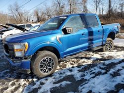 Salvage cars for sale at Marlboro, NY auction: 2023 Ford F150 Supercrew