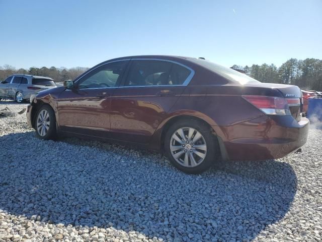 2011 Honda Accord EXL