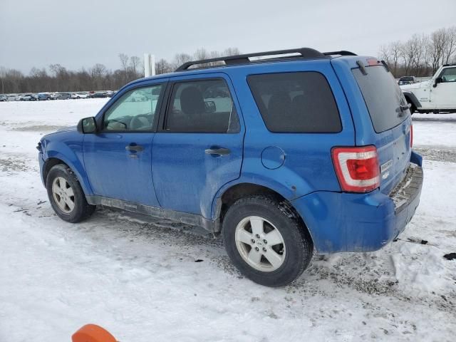 2012 Ford Escape XLT