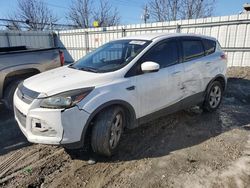 Salvage cars for sale at Walton, KY auction: 2014 Ford Escape SE