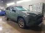 2024 Toyota Rav4 Woodland Edition