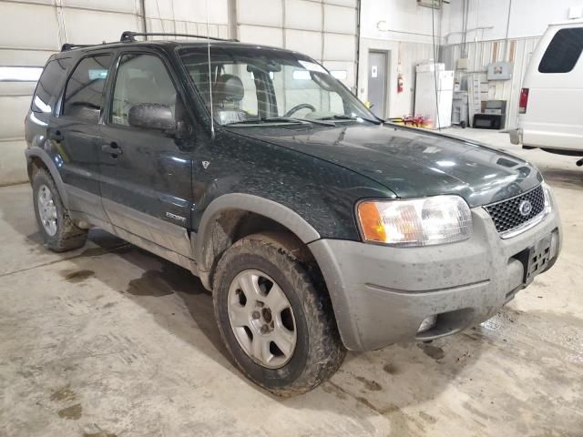 2002 Ford Escape XLT