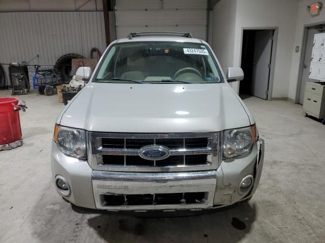 2008 Ford Escape Limited