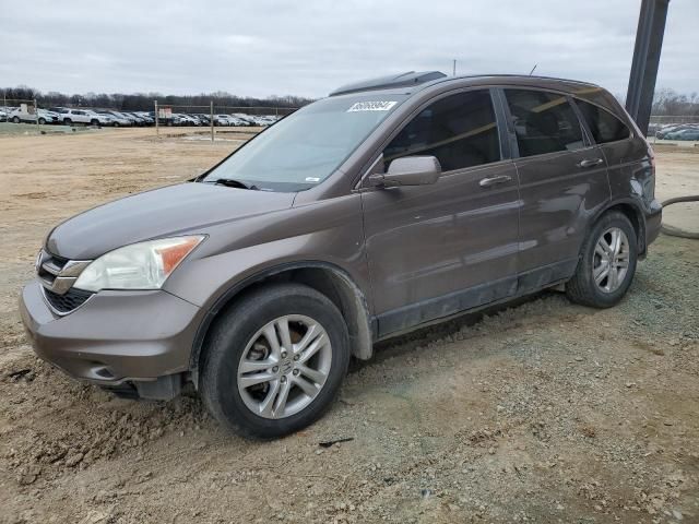 2010 Honda CR-V EXL