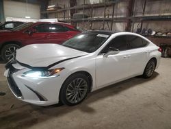 Salvage cars for sale at Eldridge, IA auction: 2019 Lexus ES 350