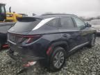 2023 Hyundai Tucson Blue