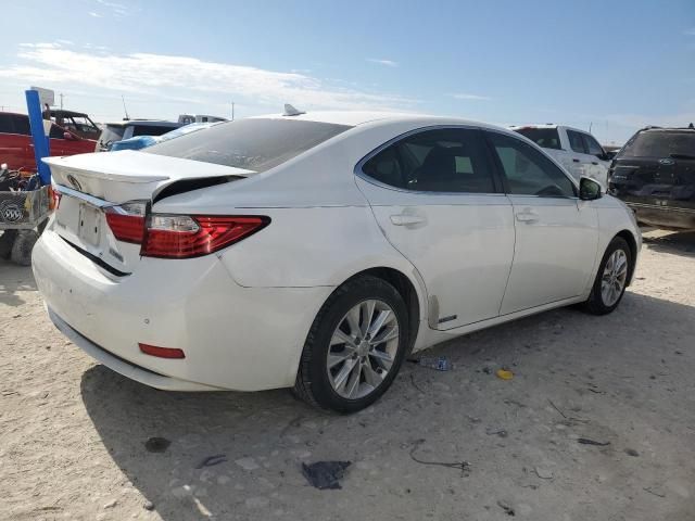 2014 Lexus ES 300H