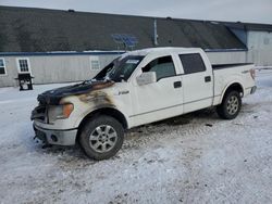 Ford f150 Supercrew Vehiculos salvage en venta: 2013 Ford F150 Supercrew