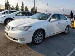 Salvage cars for sale from Copart Rancho Cucamonga, CA: 2010 Lexus ES 350