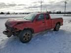 2007 Dodge Dakota SLT