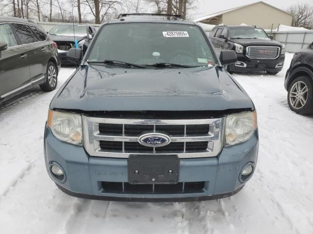 2012 Ford Escape XLT