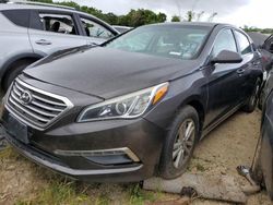 Salvage cars for sale at Kapolei, HI auction: 2015 Hyundai Sonata SE