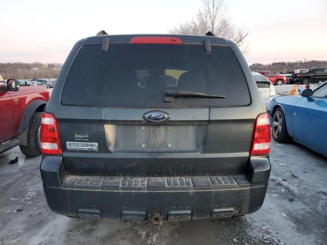 2008 Ford Escape XLT