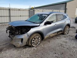 Salvage cars for sale at Lawrenceburg, KY auction: 2022 Ford Escape SE