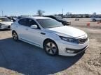 2013 KIA Optima Hybrid